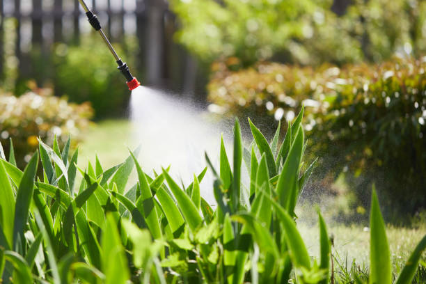 Tamper-Resistant Bait Stations for Rodents in Park City