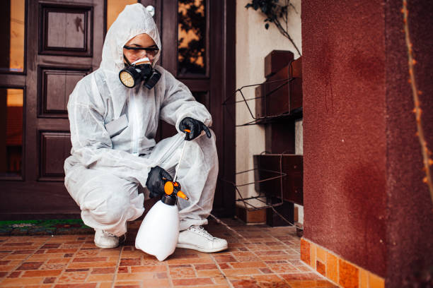 Attic and Crawl Space Rodent Treatment in Park City
